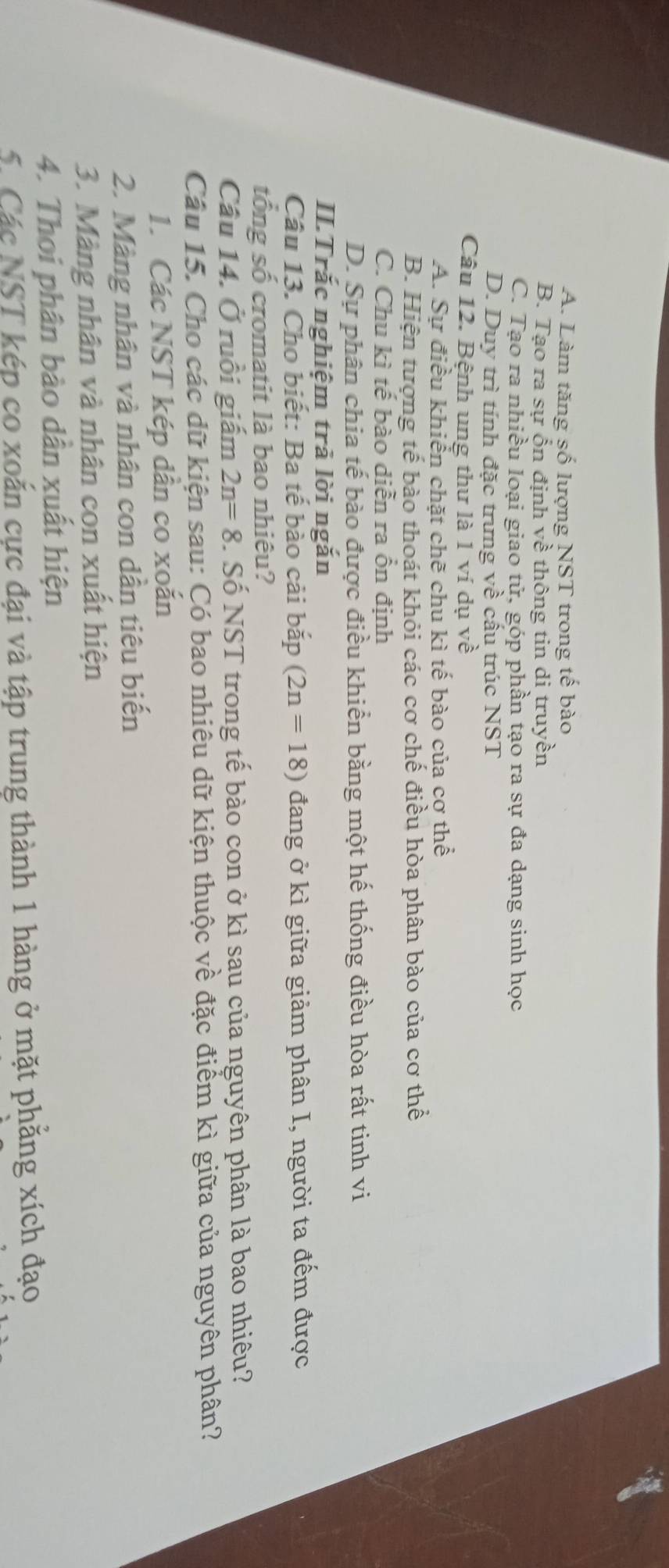 A. Làm tăng số lượng NST trong tế bào
B. Tạo ra sự ổn định về thông tin di truyền
C. Tạo ra nhiều loại giao tử, góp phần tạo ra sự đa dạng sinh học
D. Duy trì tính đặc trưng về cầu trúc NST
Câu 12. Bệnh ung thư là 1 ví dụ vhat e
A. Sự điều khiển chặt chẽ chu kì tế bào của cơ thhat e
B. Hiện tượng tế bào thoát khỏi các cơ chế điều hòa phân bào của cơ thể
C. Chu kì tế bào diễn ra ồn định
D. Sự phân chia tế bào được điều khiển bằng một hế thống điều hòa rất tinh vi
II.Trắc nghiệm trả lời ngắn
Câu 13. Cho biết: Ba tế bào cải bắp (2n=18) đang ở kì giữa giảm phân I, người ta đếm được
tống số cromatit là bao nhiêu?
Câu 14. Ở ruồi giấm 2n=8. Số NST trong tế bào con ở kì sau của nguyên phân là bao nhiêu?
Câu 15. Cho các dữ kiện sau: Có bao nhiêu dữ kiện thuộc về đặc điểm kì giữa của nguyên phân?
1. Các NST kép dẫn co xoắn
2. Màng nhân và nhân con dần tiêu biến
3. Màng nhân và nhân con xuất hiện
4. Thoi phân bào dân xuất hiện
5. Các NST kép co xoắn cực đại và tập trung thành 1 hàng ở mặt phẳng xích đạo