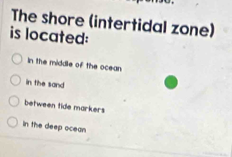 The shore (intertidal zone)
is located:
in the middle of the ocean
in the sand
between tide markers
In the deep ocean