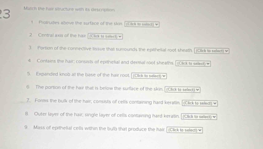 Match the hair structure with its description. 
1 Protrudes above the surface of the skin [(Click to select) 
2 Central axis of the hair (Click to select) 
3. Portion of the connective tissue that surrounds the epithelial root sheath. (Click to select) 
4. Contains the hair; consists of epithelial and dermal root sheaths. [ (Click to select) 
5. Expanded knob at the base of the hair root. (Click to select) 
6. The portion of the hair that is below the surface of the skin. [(Click to select) 
7. Forms the bulk of the hair, consists of cells containing hard keratin. [(Click to select) 
8. Outer layer of the hair; single layer of cells containing hard keratin. [(Click to select) 
9. Mass of epithelial cells within the bulb that produce the hair.[(Click to select)