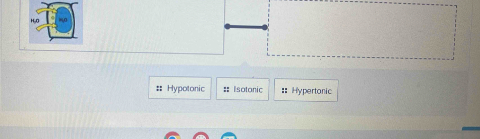 Hypotonic Isotonic Hypertonic