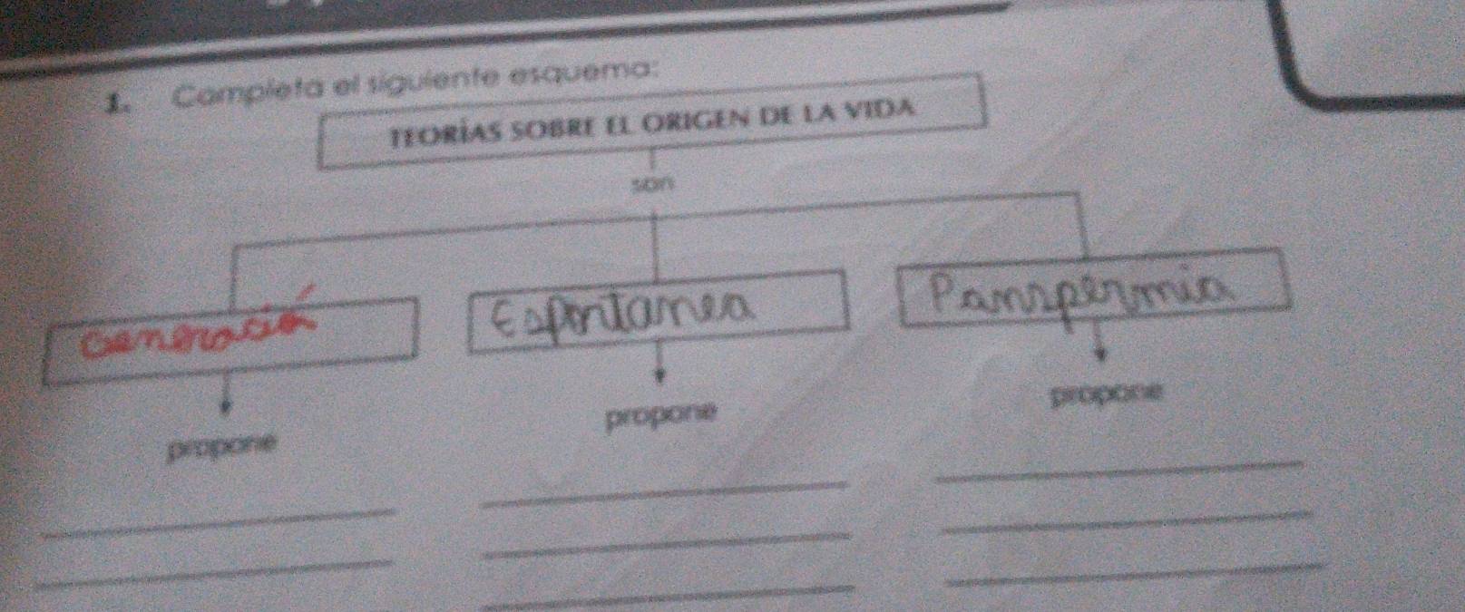 Campleta el siguiente esquema: 
TeoRÍas sObRE el OrIGen de la vida 
son 
propone propone 
_ 
propone 
_ 
_ 
_ 
_ 
_ 
_ 
_