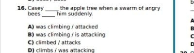 Casey _the apple tree when a swarm of angry
bees _him suddenly.
A) was climbing / attacked
B
B) was climbing / is attacking C
C) climbed / attacks
D
D) climbs / was attacking