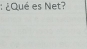 ¿Qué es Net?