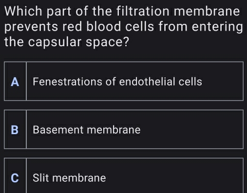 Which part of the filtration membrane
prevents red blood cells from entering
the capsular space?
A Fenestrations of endothelial cells
B Basement membrane
C Slit membrane