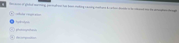 Because of global warming, permafrost has been melting causing methane & carbon dioxide to be released into the atmosphere through
A cellular respiration
D hydrolysis
photosynthesis
0 decomposition