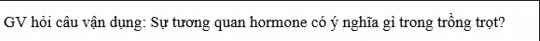 GV hỏi câu vận dụng: Sự tương quan hormone có ý nghĩa gỉ trong trồng trọt?