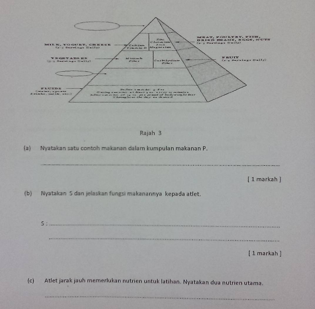 Rajah 3 
(a) Nyatakan satu contoh makanan dalam kumpulan makanan P. 
_ 
[ 1 markah ] 
(b) Nyatakan S dan jelaskan fungsi makanannya kepada atlet. 
5:_ 
_ 
[ 1 markah ] 
(c) Atlet jarak jauh memerlukan nutrien untuk latihan. Nyatakan dua nutrien utama. 
_