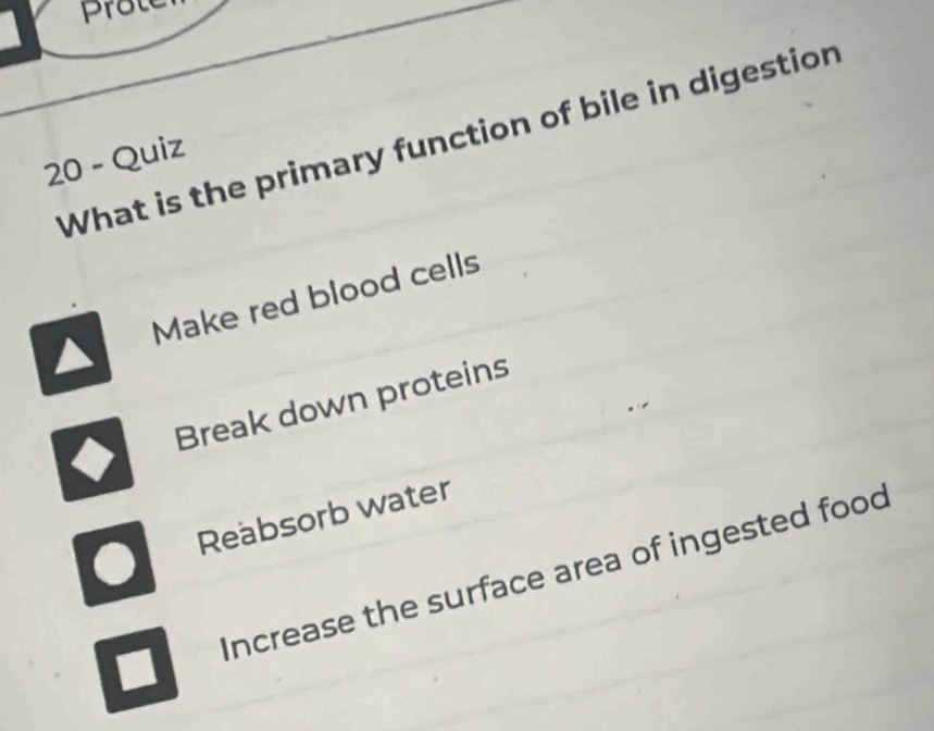 Prote
What is the primary function of bile in digestion
20 - Quiz
Make red blood cells
Break down proteins
Reabsorb water
Increase the surface area of ingested food