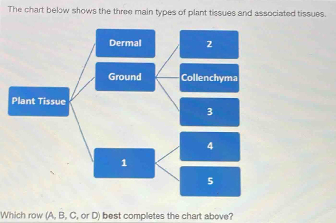 Solved: The chart below shows the three main types of plant tissues and ...