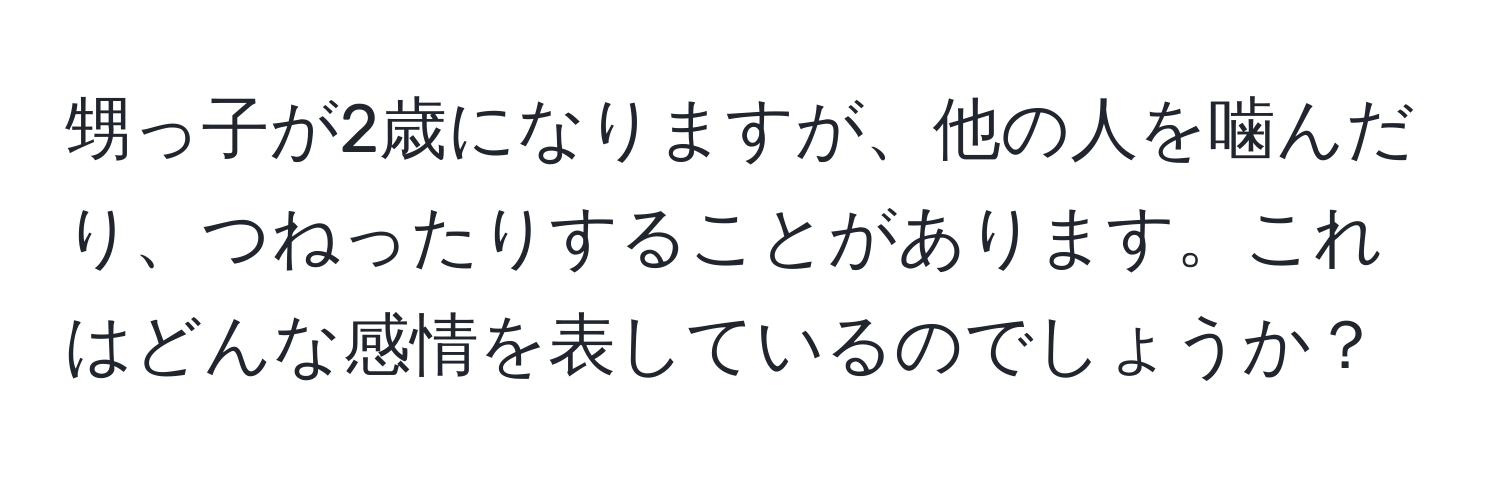 甥っ子が2歳になりますが、他の人を噛んだり、つねったりすることがあります。これはどんな感情を表しているのでしょうか？