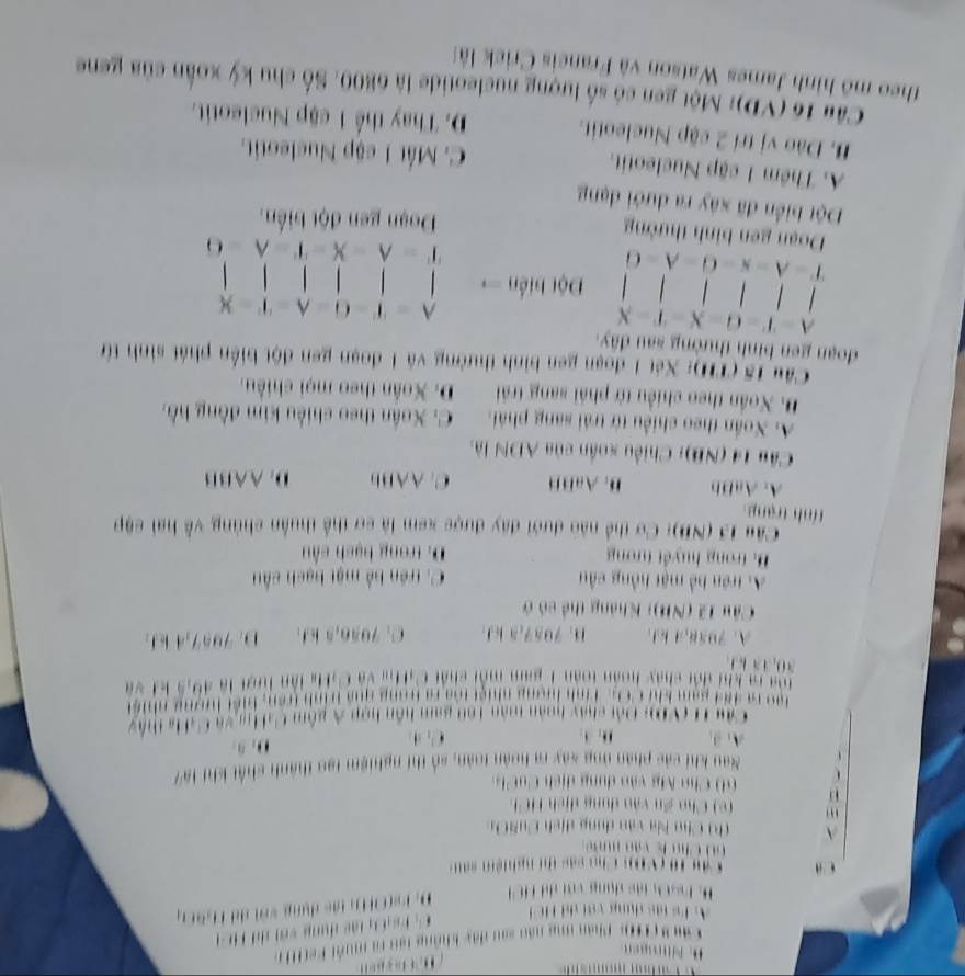 2 10: Phán mng năo sau đây không tạo ra muội Pe(H n
K  t n lc  đung vớt di H e 
ls t àc dung vậi dã Hc h
H. P s Ch tc dụng với dữ H C l
D. Fs(OH ), lác dụng vật dã H5C)
h ( V D Cho c ác thi ngh iệt  s    
k     n    
1) Cho Na vào dụng dịch CuSOu
v ) Cho ẩn vàn dụng dịch HCl
6 D Cha Mỹ vào dụng dịch CuCh 
Nau khi các phần ứng sây ra huàn toàn, số thí nghiệm tạo thành chất khí là7
A、B ,. 1. 0. 。
Cầu H (VD): Đội chây hoàn màn 160 gam hôn hợp A gồm CaH vệ CaH a thậy
n9 it 187 sam khi ' ' '' Tnh hượng nhiệt loa rả trong qua b mh trên: biết lượng nhía
à  i đài thát noán toàn 1 nán mài chát t 1tm đà t g làn lst là 4 9 5 k  v 
30, a5 k 1
A. 7958,4kJ. H. 7957,5 kJ. C. 7956,5 kJ D. 7957,4 kJ.
Câu 12 (NB): Kháng thể có ở
A. trên bề mặt hồng cầu C. trên bể một hạch cầu
B. trong huyết tưong D. trong bạch câu
Câu 13 (NB): Cơ thể nào dưới đây được xem là cơ thể thuận chùng về hai cập
tinh trang.
A. AaBb B. AaBB C. AABb D. AABB
Câu 14 (NB): Chiều xoắn của ADN là.
A. Xoắn theo chiều từ trải sang phải C. Xoân theo chiều kim đồng hồ,
B. Xoắn theo chiều tờ phải sang trải D. Xoân theo mọi chiều,
Câu 15 (TT): Xét 1 đoạn gen bình thường và 1 đoạn gen đột biển phát sinh từ
đoạn gen bình thường sau đây.
A T=G=X-T=X
)□
| □ 
1 1 Đột biển →     
T A -A=6
Doạn gen bình thường Doạn gen đột biển.
Đột biển đã xây ra dưới dạng
A. Thêm 1 cập Nucleotit. C. Mất 1 cập Nucleotit.
B. Dào vị trí 2 cặp Nucleotit. D. Thay thể 1 cập Nucleotit.
Câu 16 (VD): Một gen có số lượng nucleotide là 6800. Số chu kỳ xoắn của gene
theo mô hình James Watson và Francis Crick là