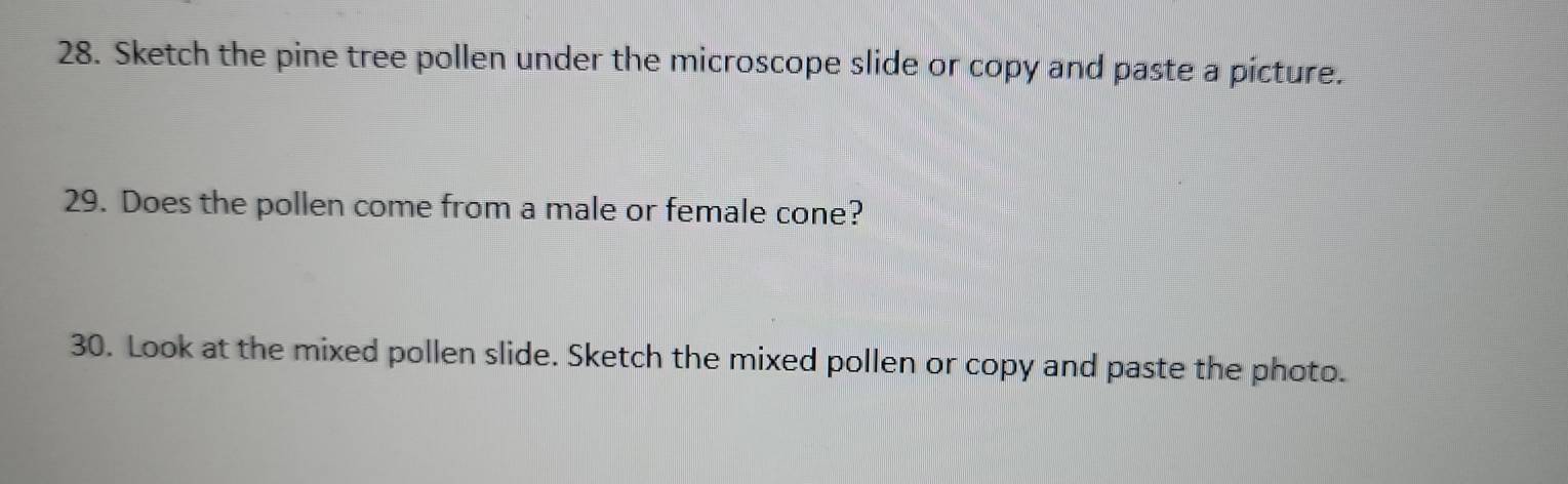 Sketch the pine tree pollen under the microscope slide or copy and paste a picture. 
29. Does the pollen come from a male or female cone? 
30. Look at the mixed pollen slide. Sketch the mixed pollen or copy and paste the photo.