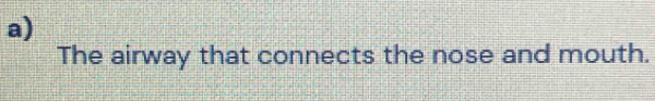 The airway that connects the nose and mouth.