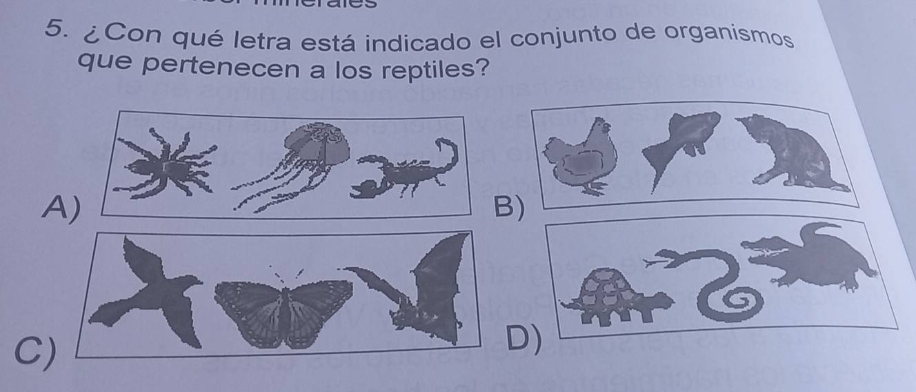 ¿Con qué letra está indicado el conjunto de organismos
que pertenecen a los reptiles?
A
C)
D