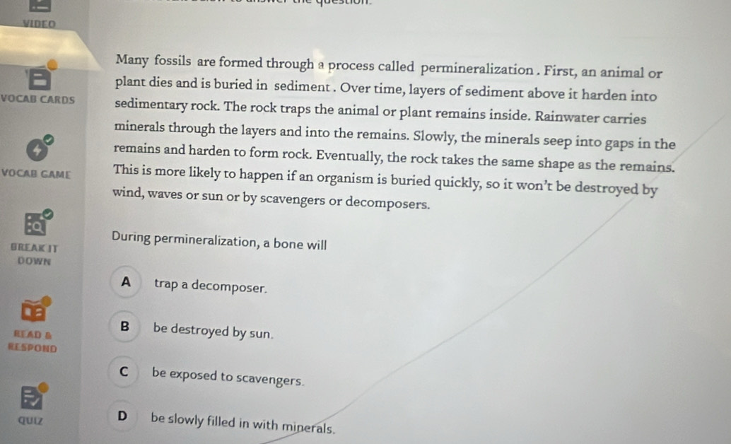 VIDEO
Many fossils are formed through a process called permineralization . First, an animal or
plant dies and is buried in sediment . Over time, layers of sediment above it harden into
VOCAB CARDS sedimentary rock. The rock traps the animal or plant remains inside. Rainwater carries
minerals through the layers and into the remains. Slowly, the minerals seep into gaps in the
4 remains and harden to form rock. Eventually, the rock takes the same shape as the remains.
VOCAB GAME This is more likely to happen if an organism is buried quickly, so it won’t be destroyed by
wind, waves or sun or by scavengers or decomposers.
During permineralization, a bone will
GREAK IT
DOWN
A trap a decomposer.
READ & B be destroyed by sun.
RESPOND
Cbe exposed to scavengers.
quiz D be slowly filled in with minerals.