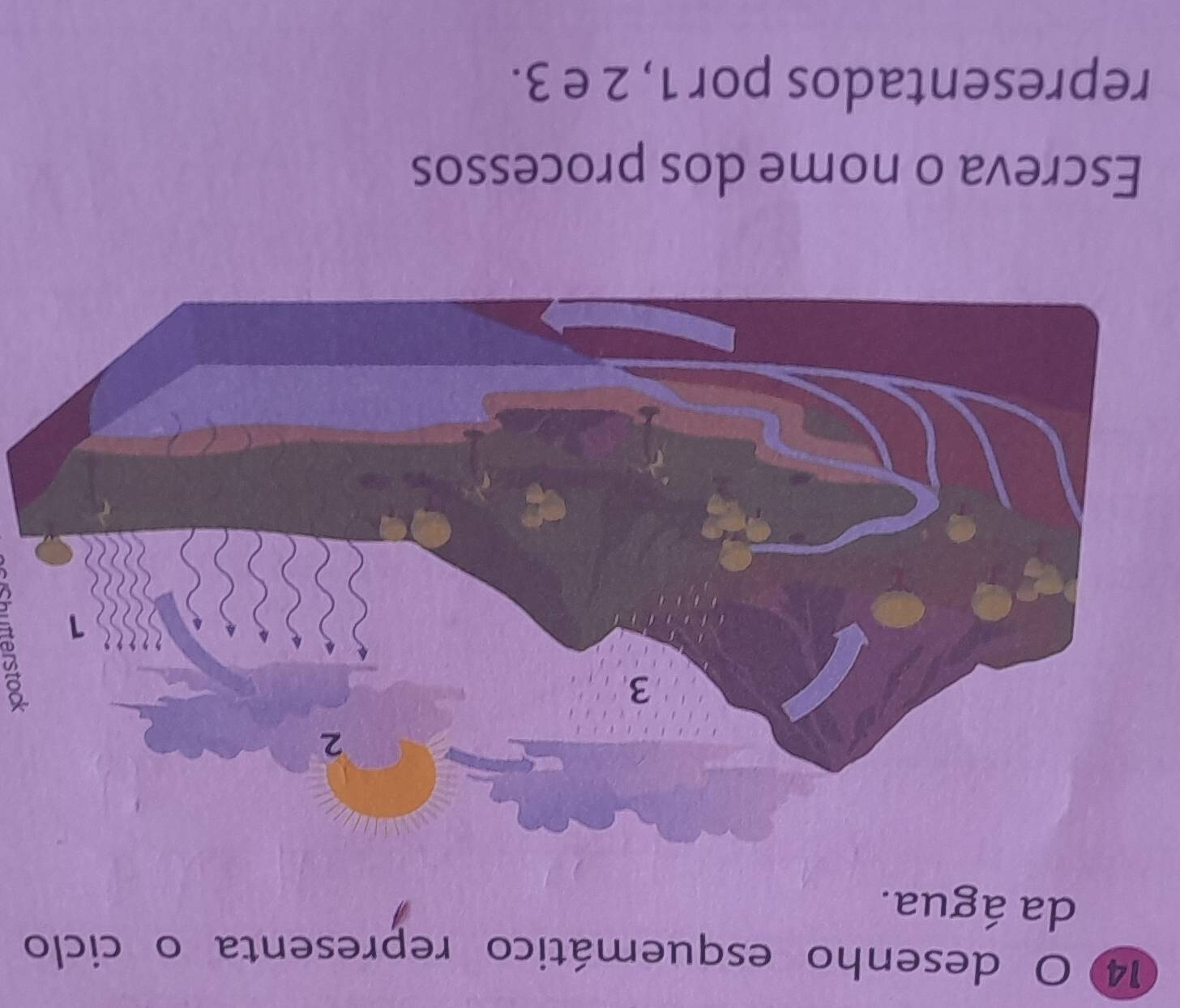 desenho esquemático representa o ciclo 
da água. 
Escreva o nome dos processos 
representados por 1, 2 e 3.