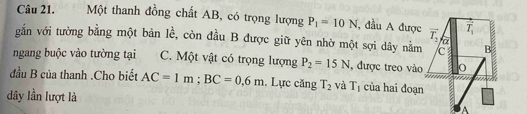 Một thanh đồng chất AB, có trọng lượng P_1=10N , đầu A được
gắn với tường bằng một bản lề, còn đầu B được giữ yên nhờ một sợi dây nằm
ngang buộc vào tường tại C. Một vật có trọng lượng P_2=15N , được treo vào
đầu B của thanh .Cho biết AC=1m;BC=0,6m. Lực căng T_2 và T_1 của hai đoạn
dây lần lượt là
A