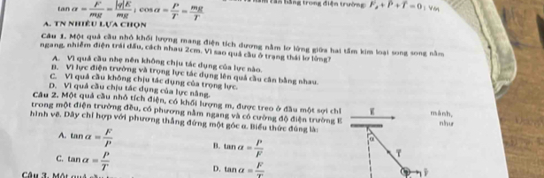 tan alpha = F/mg = |q|K/mg  a cos alpha = P/T = mg/T  S năm tan bằng trong điện trường F_2+P+T=0 v on
A. TN nhiêu Lựa chọn
Câu 1. Một quả cầu nhỏ khối lượng mang điện tích dương nằm lơ lớng giữa hai tầm kim loại song song nằm
ngang, nhiễm điện trái đấu, cách nhau 2cm. Vì sao quả cầu ở trang thái lơ lừng7
A. Vì quả cầu nhẹ nên không chịu tác dụng của lực nào.
B. Vì lực điện trường và trọng lực tác dụng lên quả cầu cân bằng nhau.
C. Vì quả cầu không chịu tác dụng của trọng lực.
D. Vì quả cầu chịu tác dụng của lực nằng
Câu 2. Một quả cầu nhỏ tích điện, có khối lượng m, được treo ở đầu một sợi chỉ mành,
trong một điện trường đều, có phương nằm ngang và có cường độ điện trường E
hình vẽ. Dây chỉ hợp với phương thắng đứng một góc α. Biểu thức đúng là: nhur
A. tan alpha = F/P  B. tan alpha = P/F 
α
C. tan alpha = P/T 
7
D. tan alpha = F/x 
Câu 3. Một