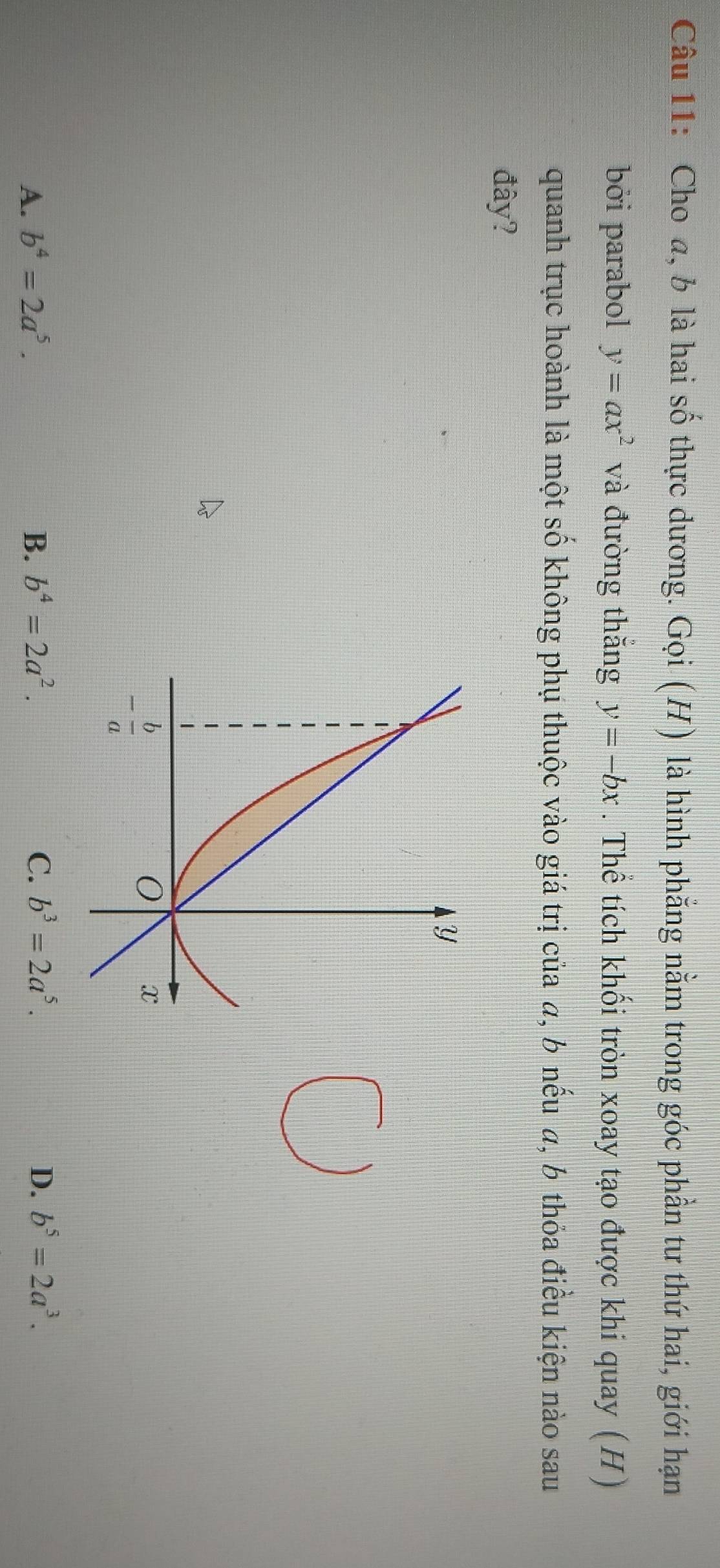 Cho a, b là hai số thực dương. Gọi (H) là hình phẳng nằm trong góc phần tư thứ hai, giới hạn
bởi parabol y=ax^2 và đường thắng y=-bx. Thể tích khối tròn xoay tạo được khi quay (H)
quanh trục hoành là một số không phụ thuộc vào giá trị của a, b nếu a, b thỏa điều kiện nào sau
đây?
、
A. b^4=2a^5. B. b^4=2a^2. C. b^3=2a^5. D. b^5=2a^3.