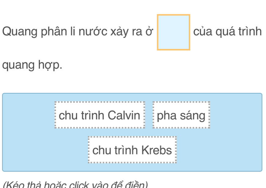 Quang phân li nước xảy ra ở □ của quá trình
quang hợp.
chu trình Calvin pha sáng
chu trình Krebs
(Kéo thả hoặc click vào để điền)