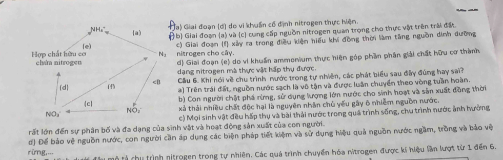 Ja) Giai đoạn (d) do vi khuẩn cố định nitrogen thực hiện.
) b) Giai đoạn (a) và (c) cung cấp nguồn nitrogen quan trọng cho thực vật trên trái đất.
c) Giai đoạn (f) xảy ra trong điều kiện hiểu khí đồng thời làm tăng nguồn dinh dưỡng
nitrogen cho cây.
d) Giai đoạn (e) do vi khuẩn ammonium thực hiện góp phần phân giải chất hữu cơ thành
dạng nitrogen mà thực vật hấp thụ được.
Câu 6. Khi nói về chu trình nước trong tự nhiên, các phát biểu sau đây đúng hay sai?
a) Trên trái đất, nguồn nước sạch là vô tận và được luân chuyển theo vòng tuần hoàn.
b) Con người chặt phá rừng, sử dụng lượng lớn nước cho sinh hoạt và sản xuất đồng thời
xả thải nhiều chất độc hại là nguyên nhân chủ yếu gây ô nhiễm nguồn nước.
c) Mọi sinh vật đều hấp thụ và bài thải nước trong quá trình sống, chu trình nước ảnh hưởng
rất lớn đến sự phân bố và đa dạng của sinh vật và hoạt động sản xuất của con người.
d) Để bảo vệ nguồn nước, con người cần áp dụng các biện pháp tiết kiệm và sử dụng hiệu quả nguồn nước ngầm, trồng và bảo vệ
rừng,...
tổ tả chu trình nitrogen trong tự nhiên. Các quá trình chuyển hóa nitrogen được kí hiệu lần lượt từ 1 đến 6.