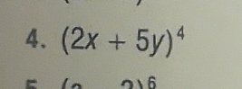 (2x+5y)^4
6