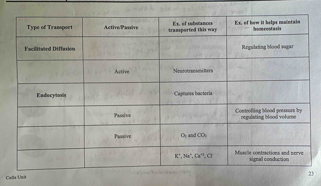 Cells Unit
3