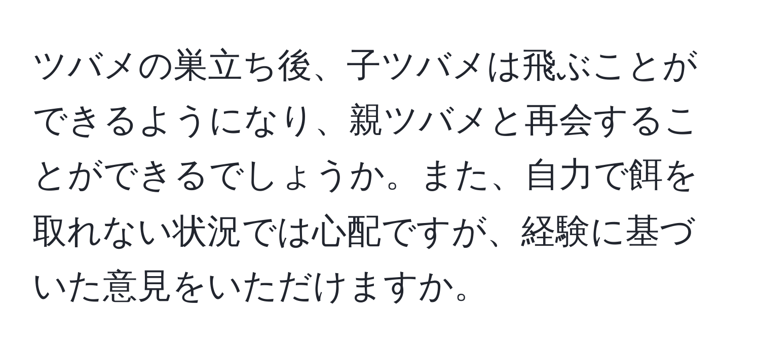 ツバメの巣立ち後、子ツバメは飛ぶことができるようになり、親ツバメと再会することができるでしょうか。また、自力で餌を取れない状況では心配ですが、経験に基づいた意見をいただけますか。