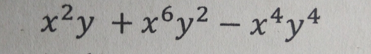 x^2y+x^6y^2-x^4y^4