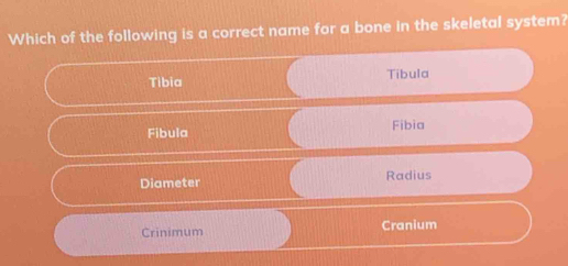 Which of the following is a correct name for a bone in the skeletal system?
Tibia Tibula
Fibula Fibia
Diameter Radius
Crinimum Cranium