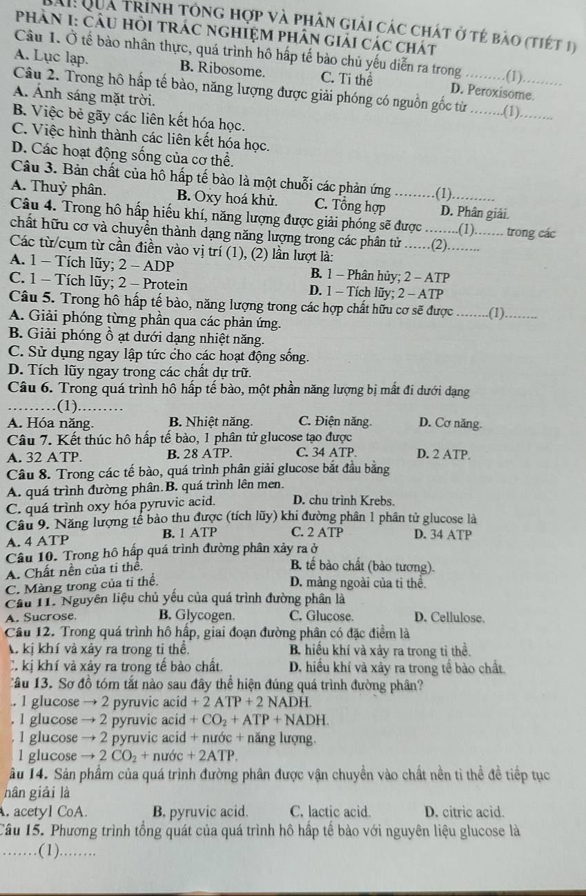 An Qua trình tổng hợp và phân giải các chát ở tẻ bào (tiét 1)
PHầN I: Cầu Hỏi trÁc nghIệM phân giải các chát
Câu 1. Ở tế bào nhân thực, quá trình hô hấp tế bào chủ yếu diễn ra trong ...........(1).
A. Lục lạp. B. Ribosome. C. Ti thể D. Peroxisome.
Câu 2. Trong hô hấp tế bào, năng lượng được giải phóng có nguồn gốc từ ...........(1).........
Á. Ánh sáng mặt trời.
B. Việc bẻ gãy các liên kết hóa học.
C. Việc hình thành các liên kết hóa học.
D. Các hoạt động sống của cơ thể.
Câu 3. Bản chất của hô hấp tế bào là một chuỗi các phản ứng (1)
A. Thuỷ phân. B. Oxy hoá khử. C. Tổng hợp _D. Phân giải.
Câu 4. Trong hô hấp hiếu khí, năng lượng được giải phóng sẽ được .(1).… trong các
chất hữu cơ và chuyển thành dạng năng lượng trong các phân tử ......(2)...
Các từ/cụm từ cần điền vào vị trí (1), (2) lần lượt là:
A. 1 - Tích lũy; 2 - ADP B. 1 - Phân hủy; 2 - ATP
C. 1 - Tích lũy; 2 - Protein D. 1 - Tích lũy; 2 - ATP
Câu 5. Trong hô hấp tế bào, năng lượng trong các hợp chất hữu cơ sẽ được
A. Giải phóng từng phần qua các phản ứng. _(1)_
B. Giải phóng ồ ạt dưới dạng nhiệt năng.
C. Sử dụng ngay lập tức cho các hoạt động sống.
D. Tích lũy ngay trong các chất dự trữ.
Câu 6. Trong quá trình hô hấp tế bào, một phần năng lượng bị mất đi dưới dạng
_(1).………
A. Hóa năng. B. Nhiệt năng. C. Điện năng D. Cơ năng.
Câu 7. Kết thúc hô hấp tế bào, 1 phân tử glucose tạo được
A. 32 ATP. B. 28 ATP. C. 34 ATP. D. 2 ATP.
Câu 8. Trong các tế bào, quá trình phân giải glucose bắt đầu bằng
A. quá trình đường phân.B. quá trình lên men.
C. quá trình oxy hóa pyruvic acid.
D. chu trình Krebs.
Câu 9. Năng lượng tể bào thu được (tích lũy) khi đường phân 1 phân tử glucose là
A. 4 ATP B. 1 ATP
C. 2 ATP D. 34 ATP
Câu 10. Trong hô hấp quá trình đường phân xảy ra ở
A. Chất nền của tỉ thể.
B. tế bào chất (bào tương).
C. Màng trong của tỉ thể. D. màng ngoài của ti thể.
Cầu I1. Nguyên liệu chủ yếu của quá trình đường phân là
A. Sucrose. B. Glycogen. C. Glucose. D. Cellulose.
Câu 12. Trong quá trình hô hấp, giai đoạn đường phân có đặc điểm là
A kị khí và xảy ra trong ti thể B. hiếu khí và xảy ra trong ti thể.
C. kị khí và xảy ra trong tế bào chất. D. hiều khí và xảy ra trong tế bào chất.
Cầu 13. Sơ đồ tóm tắt nào sau đây thể hiện đúng quá trình đường phân?
. 1 glucose → 2 pyruvic acid +2ATP+2NADH.
1 glucose → 2 pyruvic acid +CO_2+ATP+NADH.
1 glucose → 2 pyruvic acid + nước + năng lượng.
1 glucose 2CO_2+nudc+2ATP.
âu 14. Sản phầm của quá trình đường phân được vận chuyền vào chất nền ti thể đề tiếp tục
nân giải là
. acetyl CoA. B. pyruvic acid. C. lactic acid. D. citric acid.
Câu 15. Phương trình tổng quát của quá trình hồ hấp tế bào với nguyên liệu glucose là
_(1)………