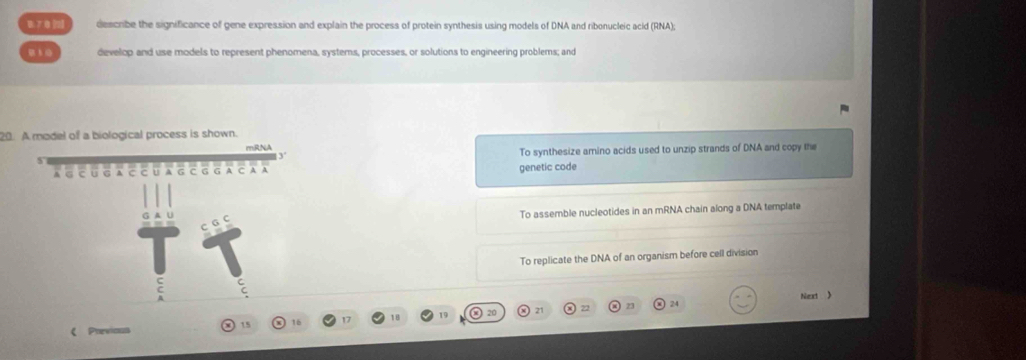 B7 0 ] describe the significance of gene expression and explain the process of protein synthesis using models of DNA and ribonucleic acid (RNA);
develop and use models to represent phenomena, systems, processes, or solutions to engineering problems; and
20. A model of a biological process is shown.
To synthesize amino acids used to unzip strands of DNA and copy the
genetic code
To assemble nucleotides in an mRNA chain along a DNA template
To replicate the DNA of an organism before cell division
Next >
23 24
15 16 19 21
《 Phevious