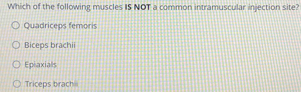 Solved: Which of the following muscles IS NOT a common intramuscular ...