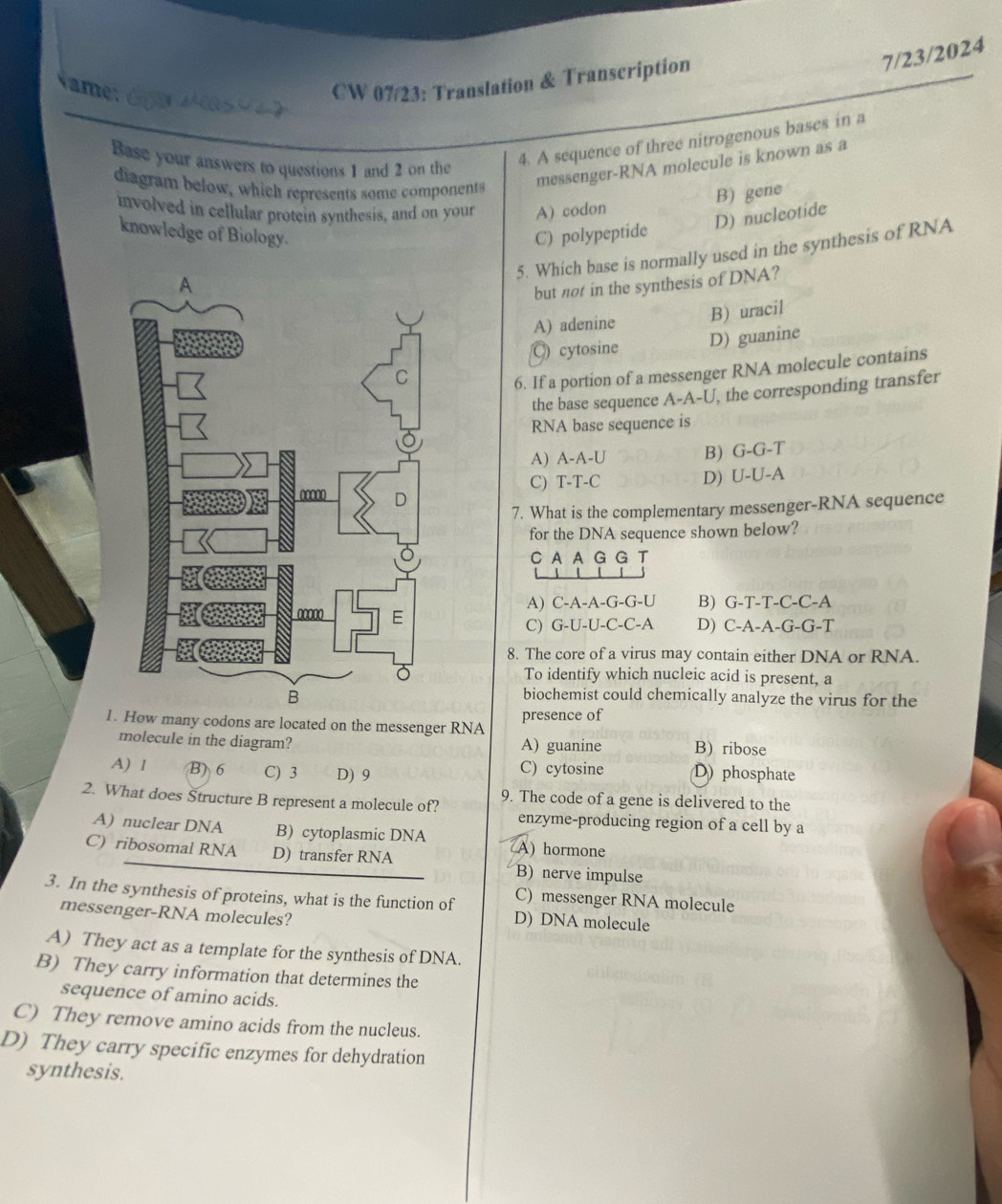 CW 07/23: Translation & Transcription
7/23/2024
Base your answers to questions 1 and 2 on the
4. A sequence of three nitrogenous bases in a
diagram below, which represents some components
messenger-RNA molecule is known as a
involved in cellular protein synthesis, and on your A) codon
B) gene
D) nucleotide
knowledge of Biology. C) polypeptide
5. Which base is normally used in the synthesis of RNA
but not in the synthesis of DNA?
B) uracil
A) adenine
C) cytosine D) guanine
6. If a portion of a messenger RNA molecule contains
the base sequence A-A-U, the corresponding transfer
RNA base sequence is
A) A-A-U B) G-G-T
C) T-T-C D) U-U-A
7. What is the complementary messenger-RNA sequence
for the DNA sequence shown below?
C A A G G T
A) C-A-A-G-G-U B) G-T-T-C-C-A
C) G-U-U-C-C-A D) C-A-A-G-G-T
8. The core of a virus may contain either DNA or RNA.
To identify which nucleic acid is present, a
biochemist could chemically analyze the virus for the
1.any codons are located on the messenger RNA presence of
molecule in the diagram? A) guanine B)ribose
A) 1 B) 6 C) 3 D) 9 C) cytosine D) phosphate
2. What does Structure B represent a molecule of? 9. The code of a gene is delivered to the
enzyme-producing region of a cell by a
A) nuclear DNA B) cytoplasmic DNA
C) ribosomal RNA D) transfer RNA A) hormone
B) nerve impulse
3. In the synthesis of proteins, what is the function of C) messenger RNA molecule
messenger-RNA molecules?
D) DNA molecule
A) They act as a template for the synthesis of DNA.
B) They carry information that determines the
sequence of amino acids.
C) They remove amino acids from the nucleus.
D) They carry specific enzymes for dehydration
synthesis.