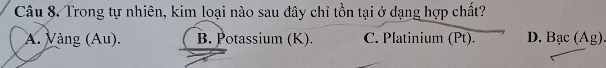 Trong tự nhiên, kim loại nào sau đây chỉ tồn tại ở dạng hợp chất?
A. Vàng (Au). B. Potassium (K). C. Platinium (Pt). D. Bac(Ag)