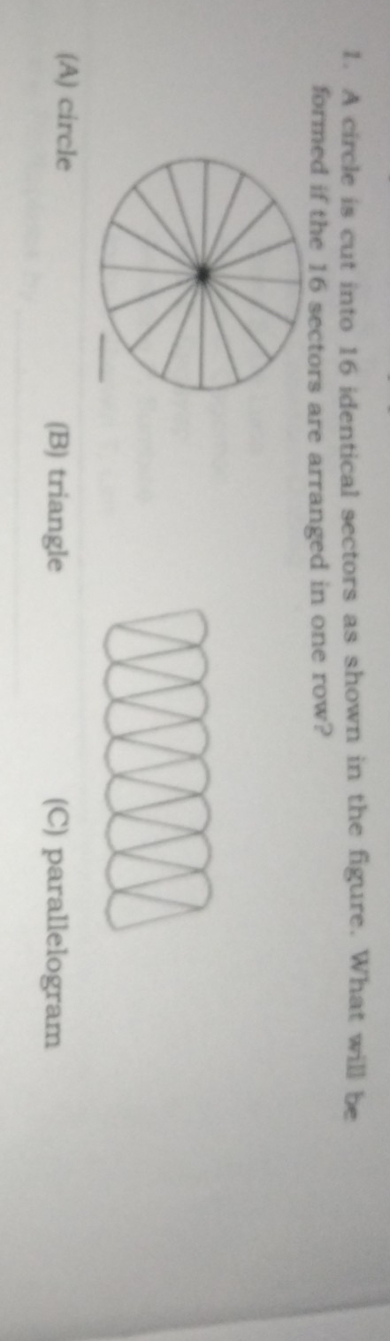 A circle is cut into 16 identical sectors as shown in the figure. What will be
formed if the 16 sectors are arranged in one row?
(A) circle (B) triangle (C) parallelogram