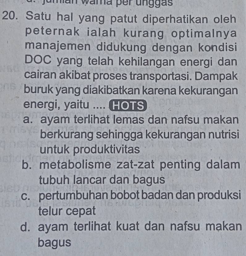 jumian wama per unggas
20. Satu hal yang patut diperhatikan oleh
peternak ialah kurang optimalnya
manajemen didukung dengan kondisi
DOC yang telah kehilangan energi dan
cairan akibat proses transportasi. Dampak
buruk yang diakibatkan karena kekurangan
energi, yaitu .... HOTS
a. ayam terlihat lemas dan nafsu makan
berkurang sehingga kekurangan nutrisi
untuk produktivitas
b. metabolisme zat-zat penting dalam
tubuh lancar dan bagus
c. pertumbuhan bobot badan dan produksi
telur cepat
d. ayam terlihat kuat dan nafsu makan
bagus