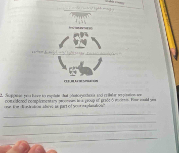 uablt ener g 
=/witt/light 
2. Suppose you have to explain that photosynthesis and cellular respiration are 
considered complementary processes to a group of grade 6 students. How could you 
use the illustration above as part of your explanation? 
_ 
_ 
_ 
_