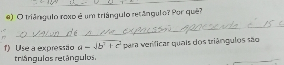 triângulo roxo é um triângulo retângulo? Por quê? 
_ 
f) Use a expressão a=sqrt(b^2+c^2) para verificar quais dos triângulos são 
triângulos retângulos.