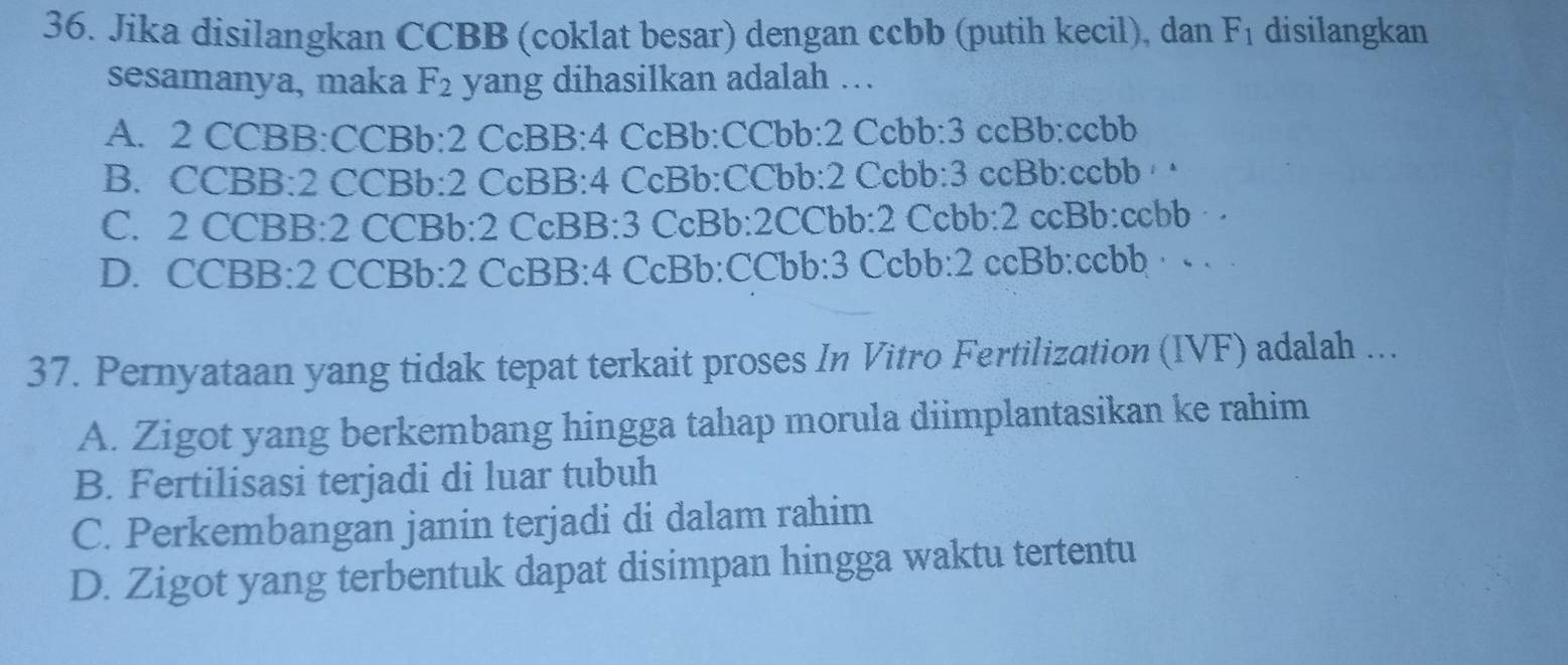 Jika disilangkan CCBB (coklat besar) dengan ccbb (putih kecil), dan F_1 disilangkan
sesamanya, maka F_2 yang dihasilkan adalah ….
A. 2 CCBB:CCBb: 2 CcBB: 4 CcBb:CCbb: 2 Ccbb: 3 ccBb: ccbb
B. CCBB: 2 CCBb: 2 CcBB: 4 CcBb:CCbb: 2 Ccbb: 3 ccBb:ccbb · ·
C. 2 CCBB: 2 CCBb: 2 CcBB: 3 CcBb: 2CCbb : 2 Ccbb: 2 ccBb:ccbb · ·
D. CCBB: 2 CCBb: 2 CcBB: 4 CcBb:CCbb: 3 Ccbb: 2 ccBb:ccbb · · · 
37. Pernyataan yang tidak tepat terkait proses In Vitro Fertilization (IVF) adalah ...
A. Zigot yang berkembang hingga tahap morula diimplantasikan ke rahim
B. Fertilisasi terjadi di luar tubuh
C. Perkembangan janin terjadi di dalam rahim
D. Zigot yang terbentuk dapat disimpan hingga waktu tertentu