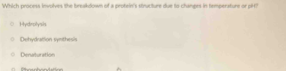 Which process involves the breakdown of a protein's structure due to changes in temperature or pH?
Hydrolysis
Dehydration synthesis
Denaturation
Phosnborvlation