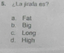 ¿La jirafa es?
a、Fat
b. Big
c. Long
d. High