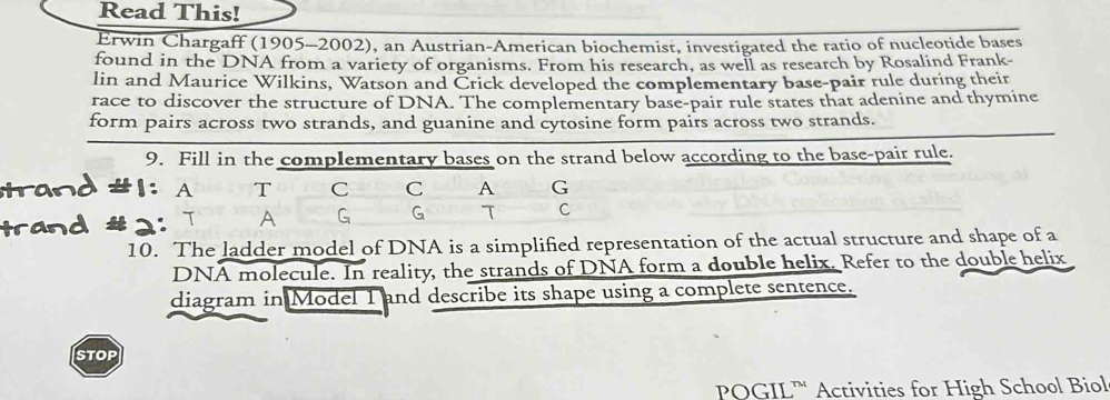 Read This! 
Erwin Chargaff (1905-2002), an Austrian-American biochemist, investigated the ratio of nucleotide bases 
found in the DNA from a variety of organisms. From his research, as well as research by Rosalind Frank 
lin and Maurice Wilkins, Watson and Črick developed the complementary base-pair rule during their 
race to discover the structure of DNA. The complementary base-pair rule states that adenine and thymine 
form pairs across two strands, and guanine and cytosine form pairs across two strands. 
9. Fill in the complementary bases on the strand below according to the base-pair rule. 
I: A T C C A G 
2: T A G G T C 
10. The ladder model of DNA is a simplified representation of the actual structure and shape of a 
DNA molecule. In reality, the strands of DNA form a double helix. Refer to the double helix 
diagram in Model I and describe its shape using a complete sentence. 
STOP 
POGIL™ Activities for High School Biol