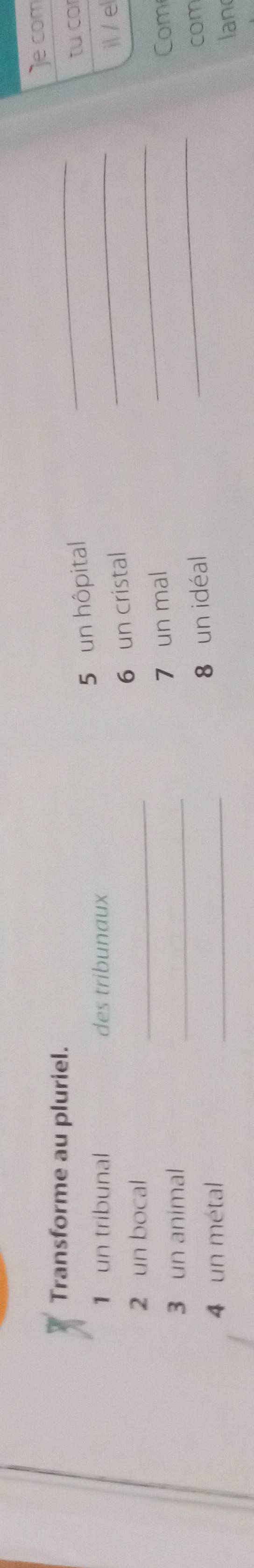 Je com 
Transforme au pluriel. 
_ 
tu co 
1 un tribunal des tribunaux 
_ 
5 un hôpital 
il / el 
2 un bocal 
_ 
_ 
6 un cristal 
_ 
7 un mal 
3 un animal _Com 
4 un métal 
_ 
8 un idéal com 
lan