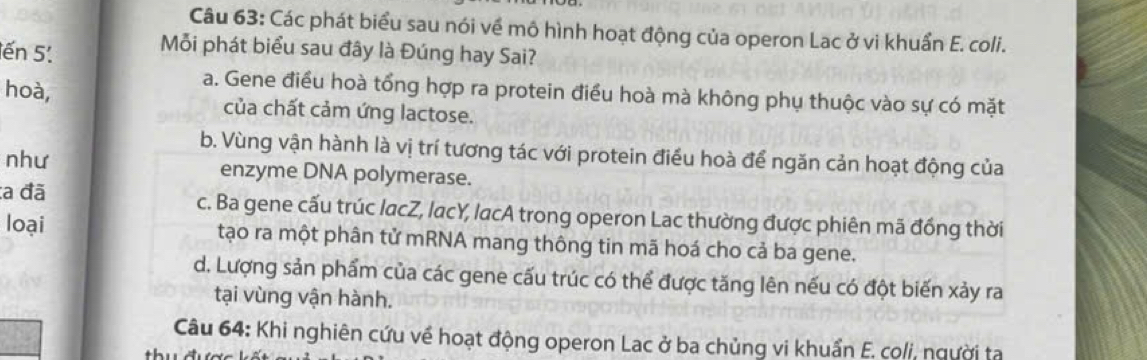 Các phát biểu sau nói về mô hình hoạt động của operon Lac ở vi khuẩn E. coli.
ến 5.
Mỗi phát biểu sau đây là Đúng hay Sai?
a. Gene điều hoà tổng hợp ra protein điều hoà mà không phụ thuộc vào sự có mặt
hoà, của chất cảm ứng lactose.
b. Vùng vận hành là vị trí tương tác với protein điều hoà để ngăn cản hoạt động của
như enzyme DNA polymerase.
:a đã c. Ba gene cấu trúc lacZ, lacY, lacA trong operon Lac thường được phiên mã đồng thời
loại tạo ra một phân tử mRNA mang thông tin mã hoá cho cả ba gene.
d. Lượng sản phẩm của các gene cấu trúc có thể được tăng lên nếu có đột biến xảy ra
tại vùng vận hành.
Câu 64: Khi nghiên cứu về hoạt động operon Lac ở ba chủng vi khuẩn E. coli, người ta