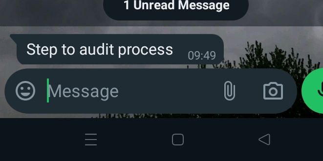 Unread Message 
Step to audit process 09:49
Message