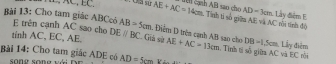 AD=3cm
I, AC, EC. AE+AC=14cm Tinh ti số giữ AE và AC ni tính độ Lây điểm E 
Bài 13: Cho tam giác ABCcó E trên cạnh AC sao cho DEparallel BC AB=5cm Giả sử 1. Điểm D trên cạnh AB sao cho AE+AC=13cm. Tình tí số giữa AC và EC ồi 
tinh AC, EC, AE.
DB=1,5cm Lây điểm 
Bài 14: Cho tam giác ADE có AD=5cm