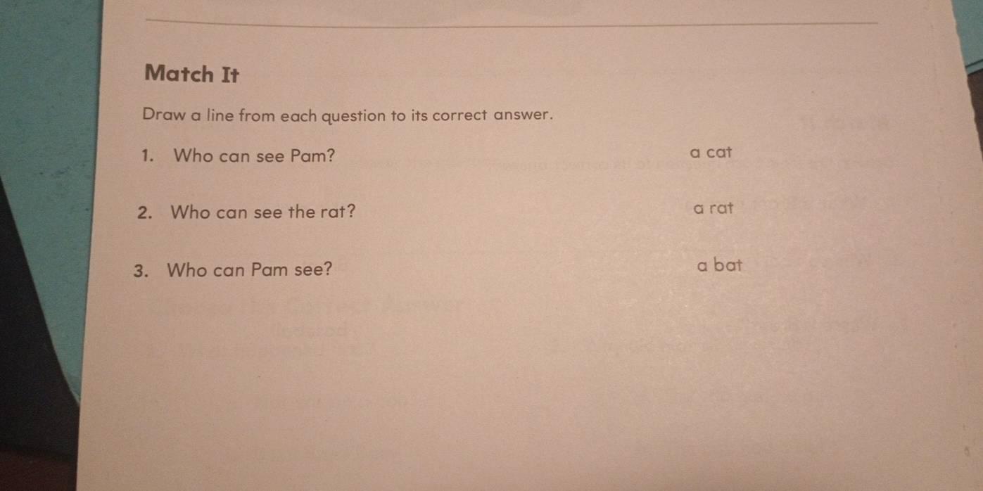 Match It
Draw a line from each question to its correct answer.
1. Who can see Pam? a cat
2. Who can see the rat? a rat
3. Who can Pam see? a bat