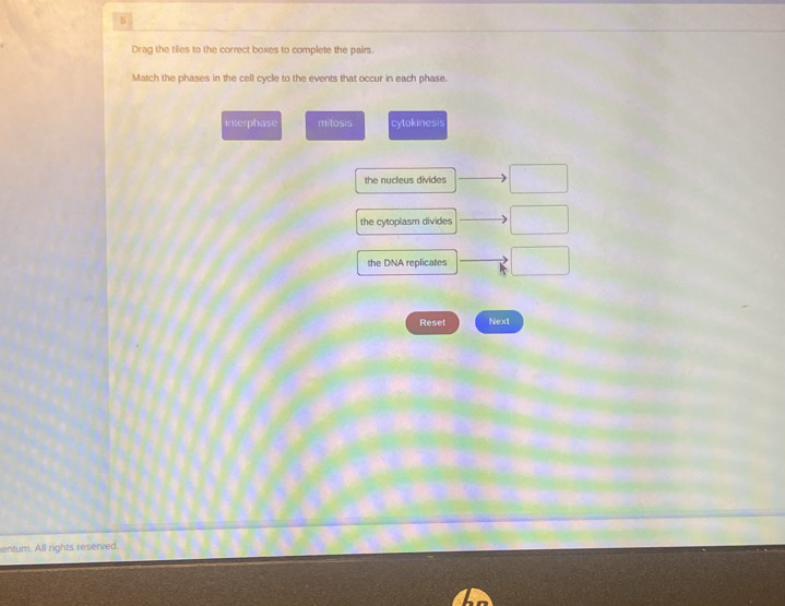 Drag the tiles to the correct boxes to complete the pairs.
Match the phases in the cell cycle to the events that occur in each phase.
interphase mitosis cytokinesis
the nucleus divides
the cytoplasm divides
the DNA replicates
Reset Next
entum. All rights reserved.