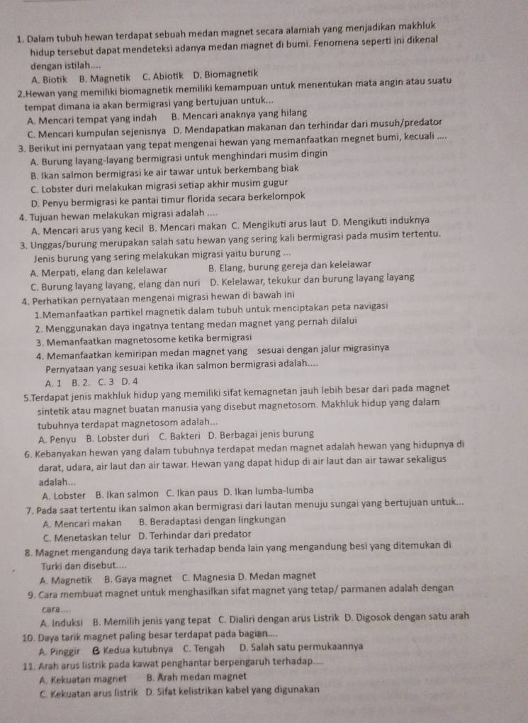 Dalam tubuh hewan terdapat sebuah medan magnet secara alamiah yang menjadikan makhluk
hidup tersebut dapat mendeteksi adanya medan magnet di bumi. Fenomena seperti ini dikenal
dengan istilah....
A. Biotik B. Magnetik C. Abiotik D. Biomagnetik
2.Hewan yang memiliki biomagnetik memiliki kemampuan untuk menentukan mata angin atau suatu
tempat dimana ia akan bermigrasi yang bertujuan untuk...
A. Mencari tempat yang indah B. Mencari anaknya yang hilang
C. Mencari kumpulan sejenisnya D. Mendapatkan makanan dan terhindar dari musuh/predator
3. Berikut ini pernyataan yang tepat mengenai hewan yang memanfaatkan megnet bumi, kecuali ....
A. Burung layang-layang bermigrasi untuk menghindari musim dingin
B. Ikan salmon bermigrasi ke air tawar untuk berkembang biak
C. Lobster duri melakukan migrasi setiap akhir musim gugur
D. Penyu bermigrasi ke pantai timur florida secara berkelompok
4. Tujuan hewan melakukan migrasi adalah ....
A. Mencari arus yang kecil B. Mencari makan C. Mengikuti arus laut D. Mengikuti induknya
3. Unggas/burung merupakan salah satu hewan yang sering kali bermigrasi pada musim tertentu.
Jenis burung yang sering melakukan migrasi yaitu burung ...
A. Merpati, elang dan kelelawar B. Elang, burung gereja dan kelelawar
C. Burung layang layang, elang dan nuri D. Kelelawar, tekukur dan burung layang layang
4. Perhatikan pernyataan mengenai migrasi hewan di bawah ini
1.Memanfaatkan partikel magnetik dalam tubuh untuk menciptakan peta navigasi
2. Menggunakan daya ingatnya tentang medan magnet yang pernah dilalui
3. Memanfaatkan magnetosome ketika bermigrasi
4. Memanfaatkan kemiripan medan magnet yang sesuai dengan jalur migrasinya
Pernyataan yang sesuai ketika ikan salmon bermigrasi adalah....
A. 1 B. 2. C. 3 D. 4
5.Terdapat jenis makhluk hidup yang memiliki sifat kemagnetan jauh lebih besar dari pada magnet
sintetik atau magnet buatan manusia yang disebut magnetosom. Makhluk hidup yang dalam
tubuhnya terdapat magnetosom adalah...
A. Penyu B. Lobster duri C. Bakteri D. Berbagai jenis burung
6. Kebanyakan hewan yang dalam tubuhnya terdapat medan magnet adalah hewan yang hidupnya di
darat, udara, air laut dan air tawar. Hewan yang dapat hidup di air laut dan air tawar sekaligus
adalah...
A. Lobster B. Ikan salmon C. Ikan paus D. Ikan lumba-lumba
7. Pada saat tertentu ikan salmon akan bermigrasi dari lautan menuju sungai yang bertujuan untuk...
A. Mencari makan B. Beradaptasi dengan lingkungan
C. Menetaskan telur D. Terhindar dari predator
8. Magnet mengandung daya tarik terhadap benda lain yang mengandung besi yang ditemukan di
Turki dan disebut....
A. Magnetik B. Gaya magnet C. Magnesia D. Medan magnet
9. Cara membuat magnet untuk menghasilkan sifat magnet yang tetap/ parmanen adalah dengan
cara....
A. Induksi B. Memilih jenis yang tepat C. Dialiri dengan arus Listrik D. Digosok dengan satu arah
10. Daya tarik magnet paling besar terdapat pada bagian....
A. Pinggir B Kedua kutubnya C. Tengah D. Salah satu permukaannya
11. Arah arus listrik pada kawat penghantar berpengaruh terhadap....
A. Kekuatan magnet B. Arah medan magnet
C. Kekuatan arus listrik D. Sifat kelistrikan kabel yang digunakan